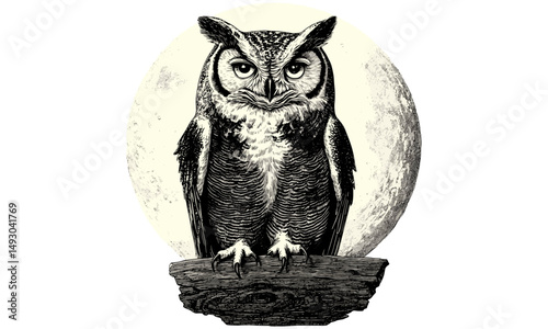 Hand-etched Owl with Moon, Vintage Bird Illustration, Rustic Wall Decor, Nocturnal Animal Art, Black Sketch Effect, Detailed Wildlife Engraving, Old Engraving Style, Nature Drawing