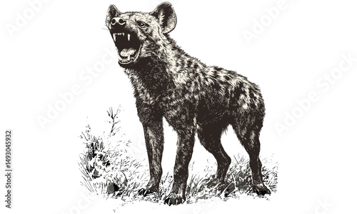 Old engraving style hyena, vintage wildlife illustration, black sketch, hand-drawn animal art, safari print, antique animal drawing, wild nature wall art, classic wildlife sketch