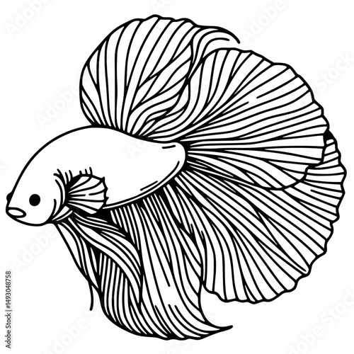 Thin line betta fish silhouette