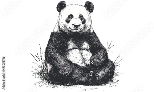 Panda sitting detailed line drawing, vintage engraving style, monochrome wildlife sketch, endangered species art, rustic nature print, scientific animal illustration, old engraving style