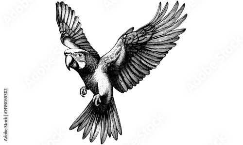 Parrot Flying Line Art, Old Style Bird Engraving, Vintage Wildlife Print, Rustic Ornithology Illustration, Monochrome Nature Sketch, Retro Fauna Art, detailed animal linework,