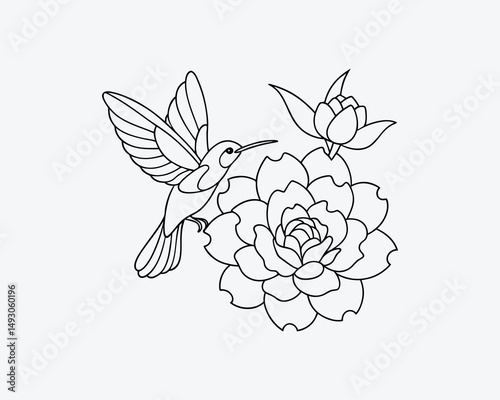  Hummingbird sipping nectar from a trumpet flower, line art illustration for coloring design