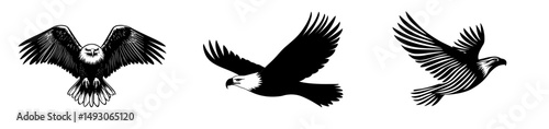 Black and white paint are used to draw a modern eagle bird illustration
