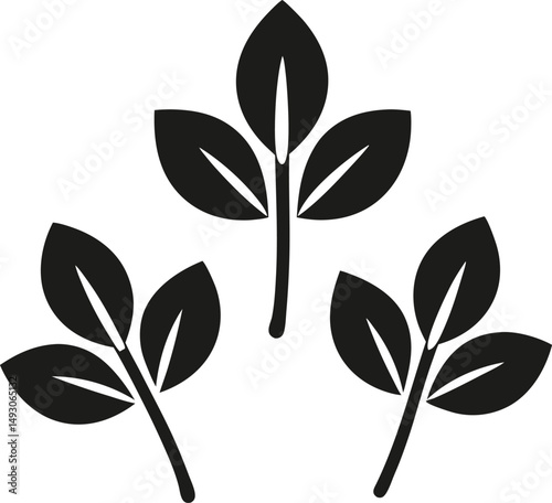 Triple Leaf Stem Silhouette – Simple Botanical Vector Icon
