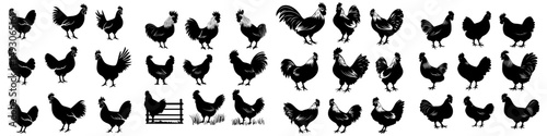 The modern silhouette collection of the rooster symbolizes the Chinese New Year