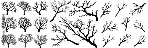A collection of vintage items featuring gothic rustic design elements and floral modern frames