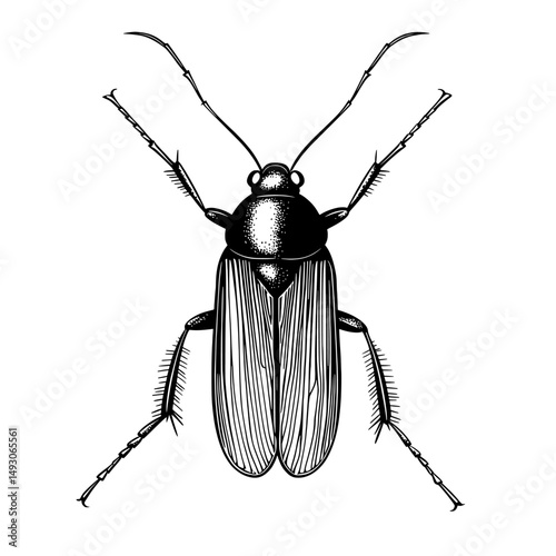 Premium icon featuring an earwig, created as part of a broader set of insect world elements for concepts, web applications, and illustrations in website and app design