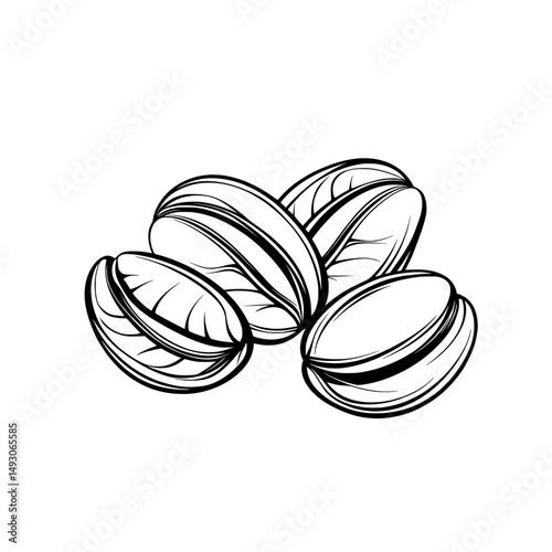 A coffee bean icon and coffee beans icon are both depicted in a line style design as a flat line illustration of coffee in a modern illustration