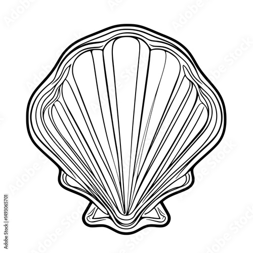 A modern graphic featuring a seashell line icon, set against a white background with an underwater and animal theme, in a linear pattern, eps