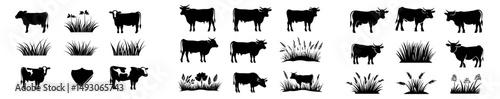 Angus cattle and grass form a silhouette in a livestock farm logo design featuring a cow