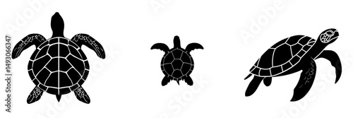 A modern illustration of a sea turtle is depicted as a graphic icon, shown in black silhouette isolated on a white background