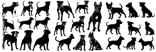 A Staffordshire Terrier is depicted in a modern silhouette against a white background in this stock illustration