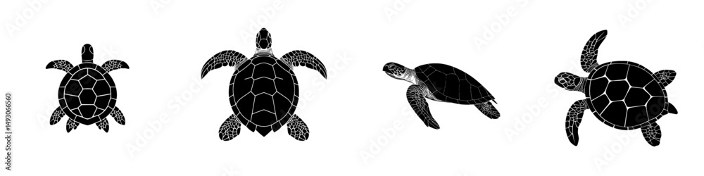 Fototapeta premium A contemporary flat black shape of a sea turtle swimming is set against a white background in isolation