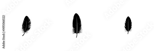 A feather icon set against a background, suitable for graphic and web design, representing a simple and modern symbol for internet concepts, often used for website buttons or mobile apps
