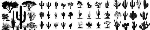 Silhouettes of various cacti appear against a white backdrop in black