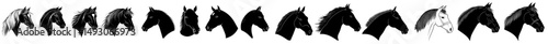 Modern illustration of a horse portrait, created as a silhouette drawing