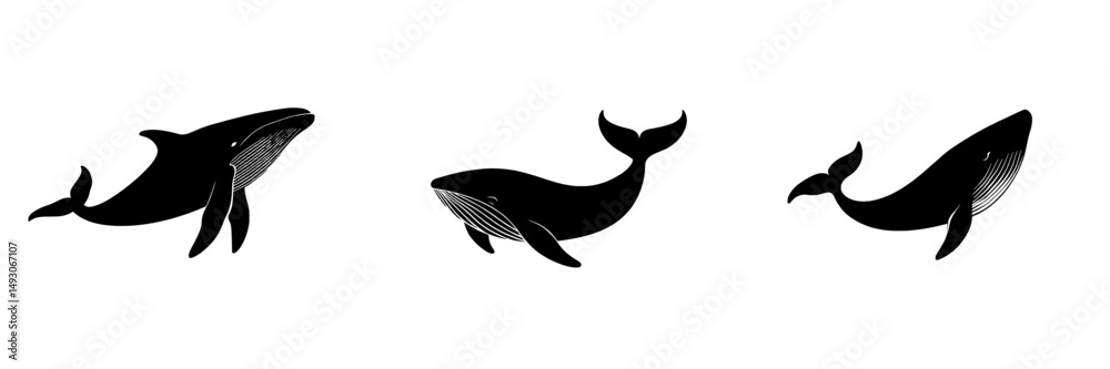 Fototapeta premium Modern symbol sign illustration of a whale in silhouette line icon form