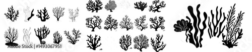 A contemporary collection of coral and seaweed silhouettes in various colors, depicted in a hand-drawn doodle style, showcasing an underwater coral reef and sea kelp, suitable for a marine aquarium
