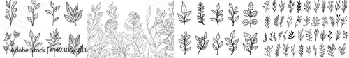 A large collection of herbs, including forest plants, flowers, branches, leaves, hops, and cones, are depicted as natural elements in a modern illustration set against a white background