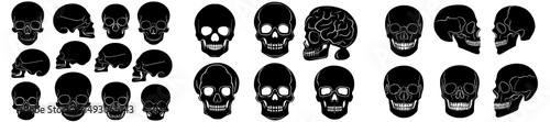 A collection of modern human skull silhouettes is presented in a monochrome line engraving style, isolated on a white background, suitable for print, card, cover, and poster designs