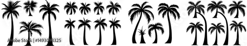 Modern illustration featuring isolated black palm trees on a white background, ideal for posters, banners, and promotional materials, showcasing palm silhouettes