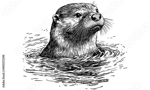 Retro Otter Swimming Illustration, Vintage Wildlife Etching, Monochrome Mammal Line Art, Rustic Fauna Drawing, Detailed Nature Sketch, Antique Animal Print, classic engraving style