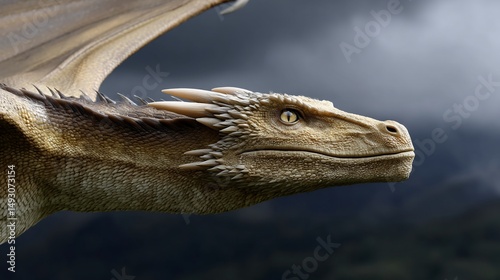 Dragon's head and wings in flight