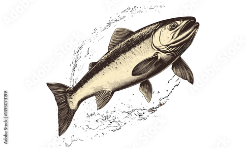 Retro Fish Engraving, Salmon Swimming Upstream, Vintage Wildlife Illustration, Monochrome Line Art, Rustic Nature Print, Antique Fauna Sketch, old engraving style, natural history art