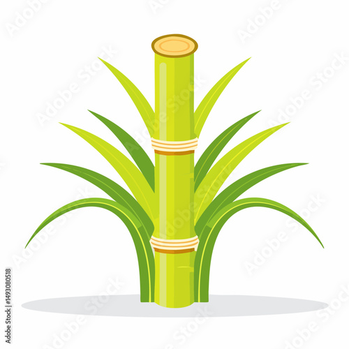 Fresh Sugar Cane Stalks Isolated on White Background – Natural Agricultural Plant Illustration

