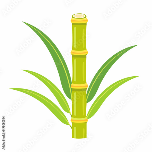 Fresh Sugar Cane Stalks Isolated on White Background – Natural Agricultural Plant Illustration

