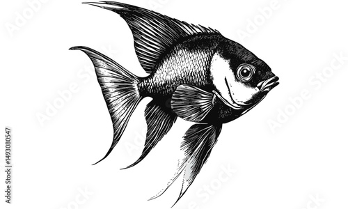 Trendy Black Sketch of Angelfish, Vintage Sea Life Drawing, Hand-Drawn Aquarium Art, Old Engraving Style Marine Etching, Monochrome Ocean Animal, fish poster