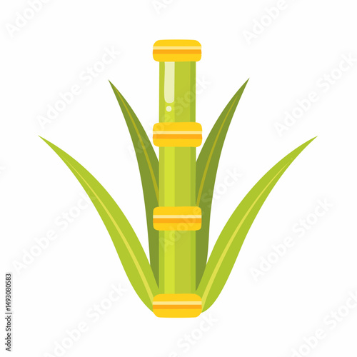 Fresh Sugar Cane Stalks Isolated on White Background – Natural Agricultural Plant Illustration


