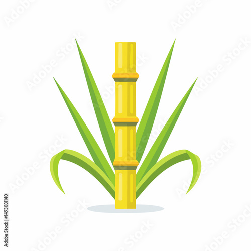 Fresh Sugar Cane Stalks Isolated on White Background – Natural Agricultural Plant Illustration