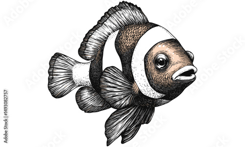 Vintage Clownfish Illustration, Hand-drawn Ocean Animal Sketch, Monochrome Marine Etching, Antique Sea Life Drawing, Nautical Wall Art, Black Sketch, Old Engraving Style, Coastal Decor