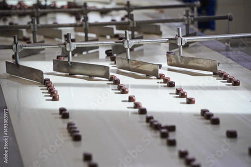 Chocolates on a conveyor belt. Factory.