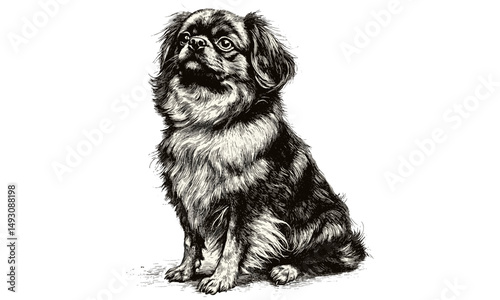 Pekingese dog vintage etching, hand-drawn monochrome sketch, antique pet art in old engraving style, trendy domestic dog portrait, animal lover gift, classic black and white illustration, collectible