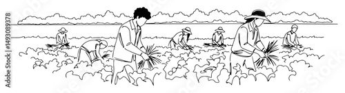 workers harvesting vegetables on large farm abstract linear design