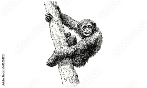 Vintage Gibbon Engraving Swinging from Tree, Monochrome Primate Line Drawing, Rustic Wildlife Print, Nature Illustration Black Sketch, Old Engraving Style, Forest Animal Art