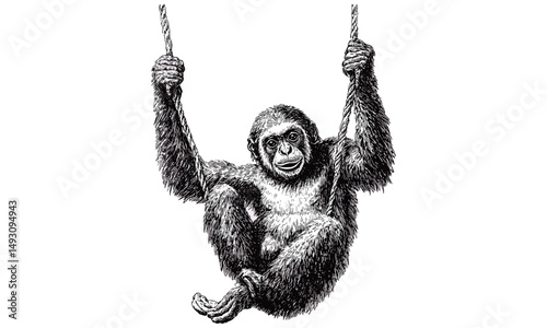 Rustic Jungle Print Vintage Style, Monochrome Mammal Line Art, Gibbon Swinging from Tree, Retro Wildlife Etching, Detailed Fauna Illustration, Antique Nature Drawing, old engraving style