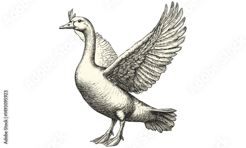Rustic wildlife print in monochrome etching style, vintage goose engraving with wings spread, antique farm animal illustration, retro bird art, classic waterfowl sketch, natural history art
