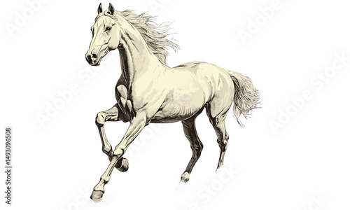 Monochrome Galloping Horse Illustration, Vintage Animal Engraving, Etching Style Sketch, Farm Ranch Wall Art, Hand-Drawn Retro Look, Rural Decor Print, classic country style