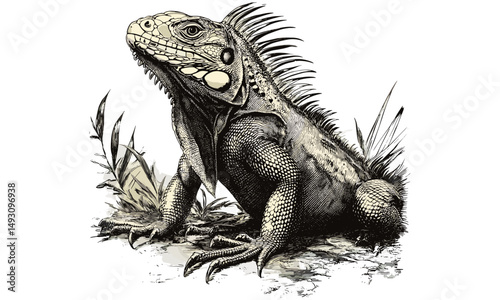 Hand-drawn vintage iguana engraving, monochrome reptile sketch in antique style, jungle wildlife etching, trendy illustration for exotic home decor, black and white detailed artwork
