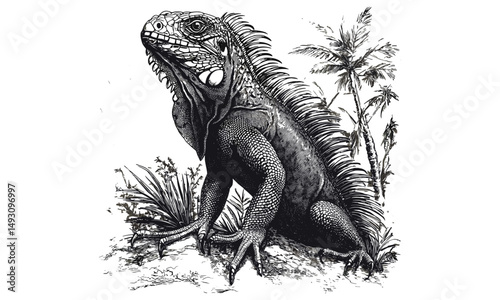Antique style iguana engraving, vintage reptile sketch in monochrome, jungle wildlife illustration, trendy exotic decor design, detailed black line art, hand-drawn natural history style drawing