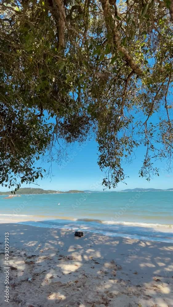 Praia