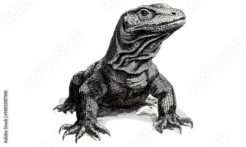 Vintage Komodo Dragon engraving, hand-drawn monochrome reptile sketch, exotic wildlife illustration, old etching style, trendy decor art, natural history print, animal anatomy study