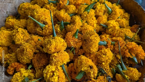 Closeup of marigold flowers for Hindu Balinese canang sari god and spirit offerings in Bali Indonesia