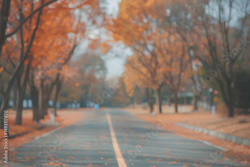 Landscape shot of trees with out-of-focus bokeh background in a park