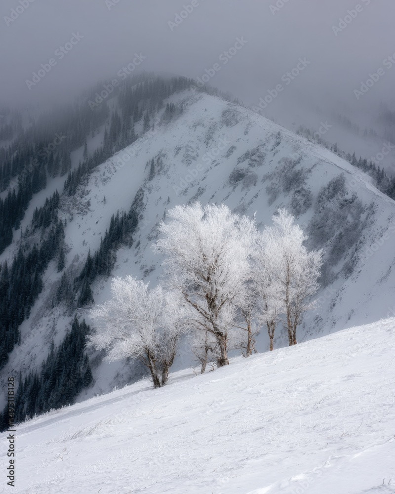 Fototapeta premium Winter mountain landscape with frosted trees on snowy slope scenic view of peak and forest in fog peaceful nature scene
