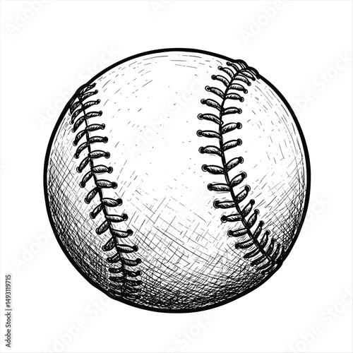 Baseball ball, baseball ball vector, sport equipment