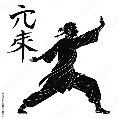 martial art Vector or karate silhouettes vector illustration Japan and China traditional martial art. self-defense presentation symbols. body poses icons. Karate poses signs